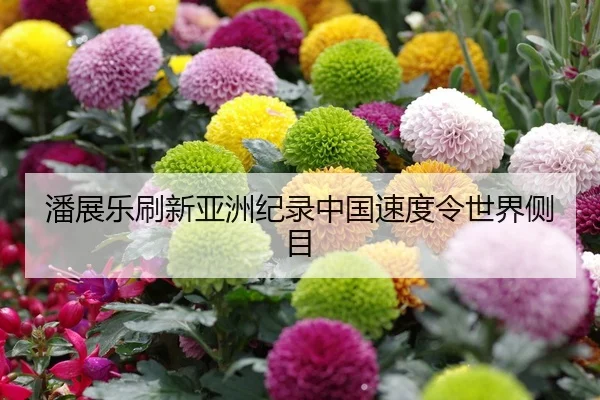潘展乐刷新亚洲纪录中国速度令世界侧目 - lejingt iyu